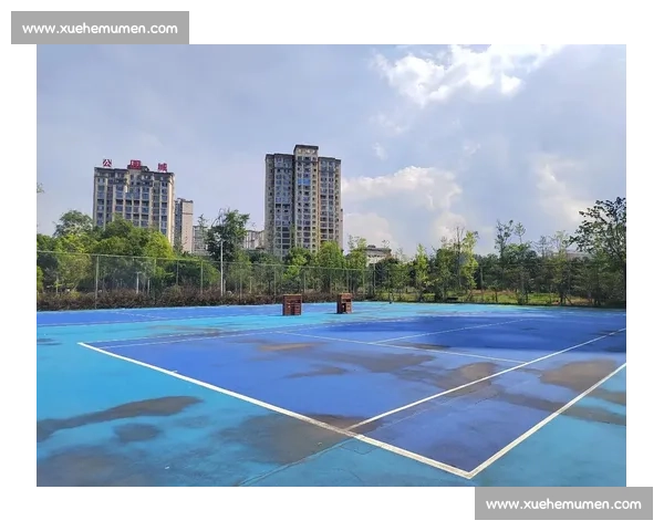 完善球场设施提升运动体验打造多功能综合运动场地