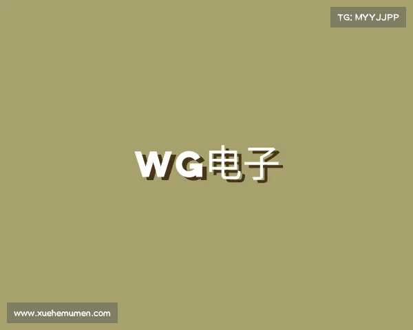 了解WG电子